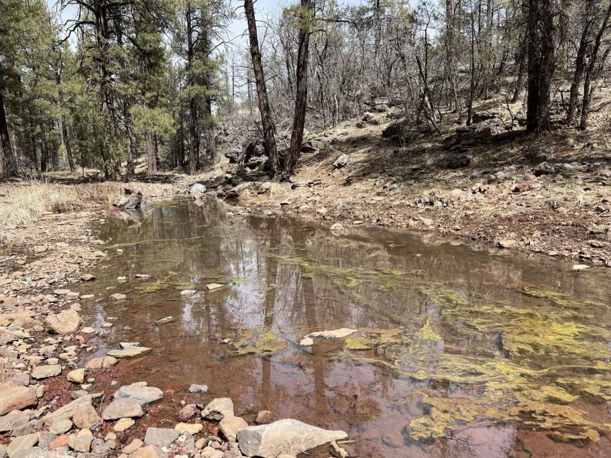 Old 354 Road to Pine Flats photo 2