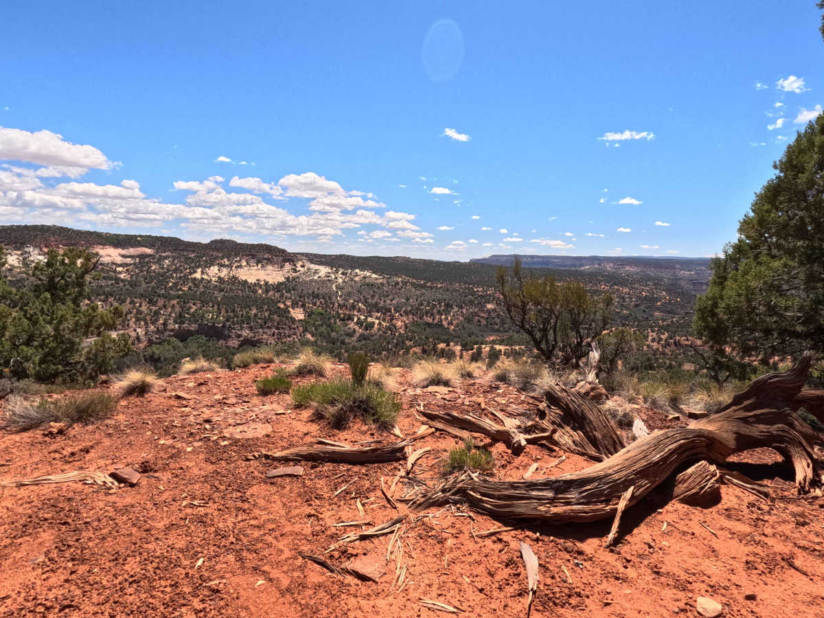 BLM 101N trail photo