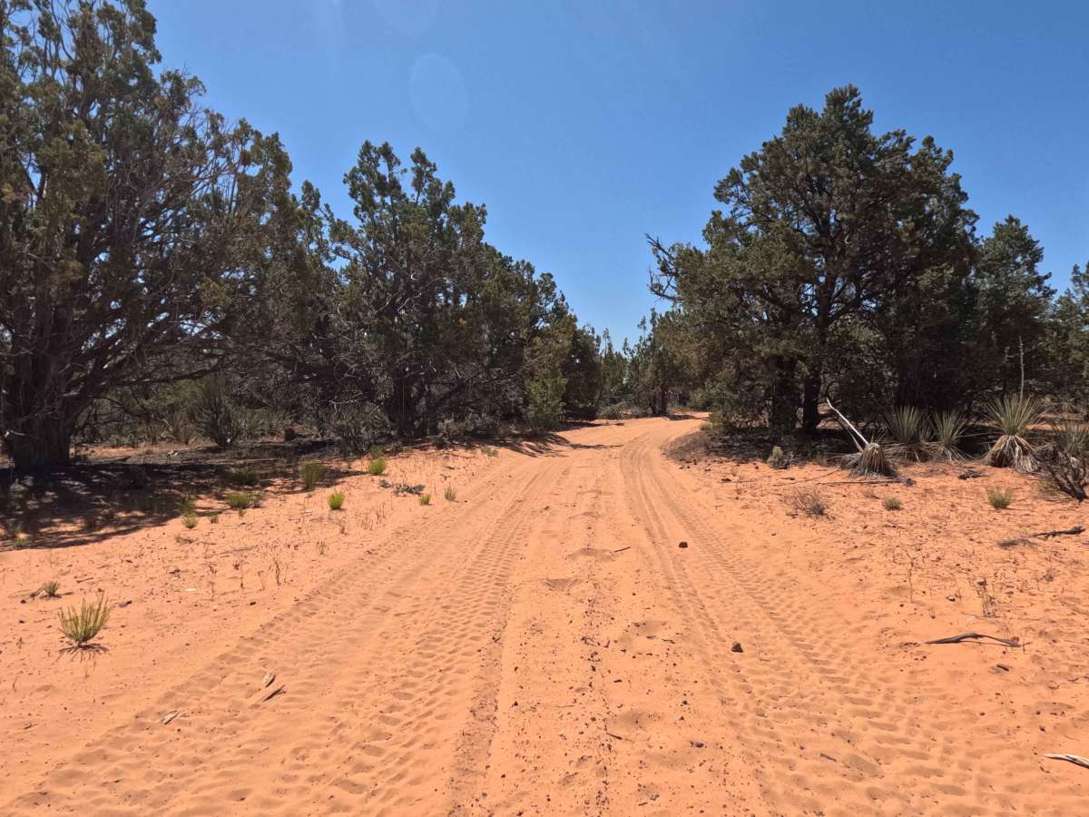 BLM 33B photo 3