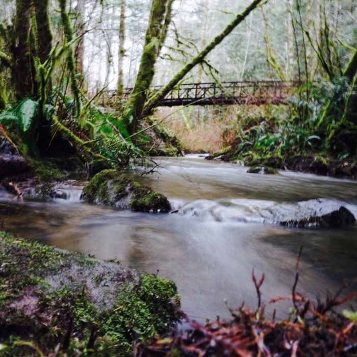 Near Gold Creek Trail