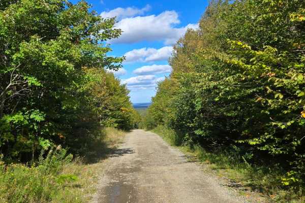 Old Albert Mines Road