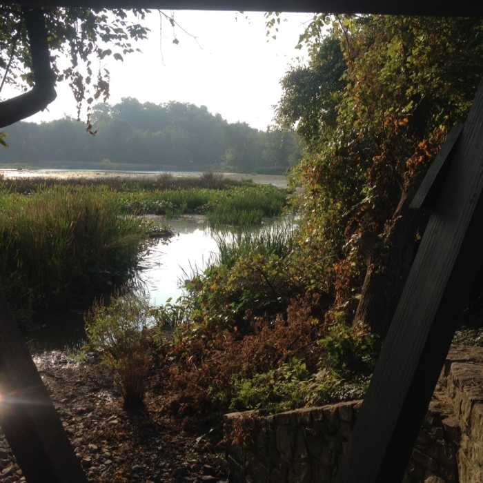 Looking out at Wildwood Lake. Near Towpath Trail