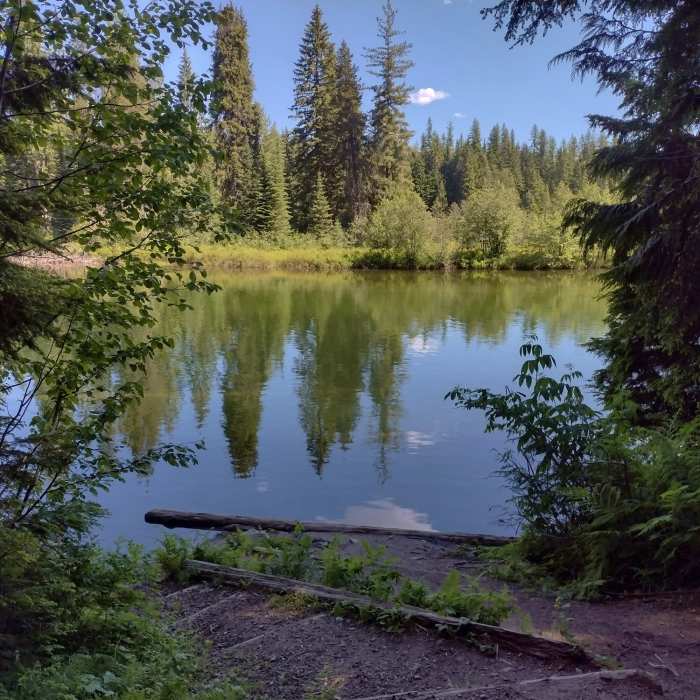 Near Portage Trail