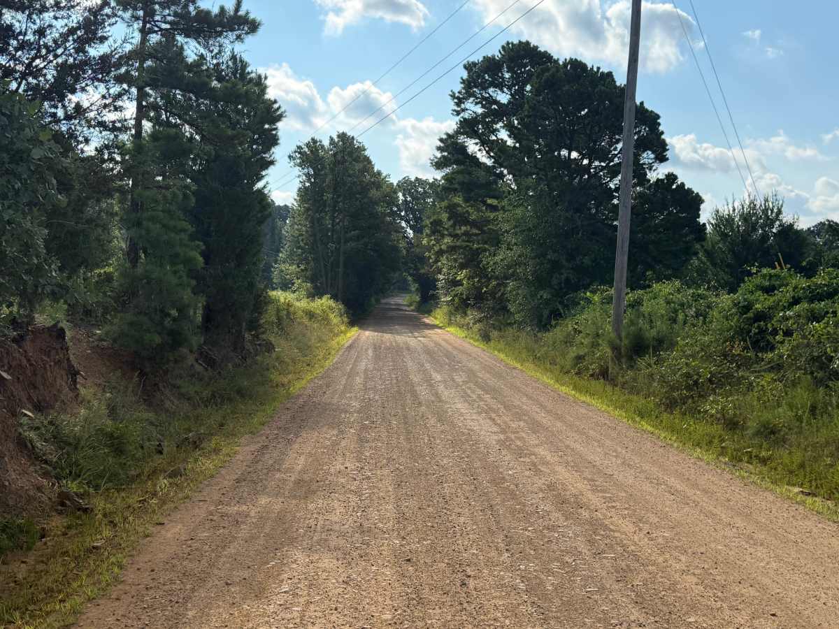 Black Fork Trail photo 4