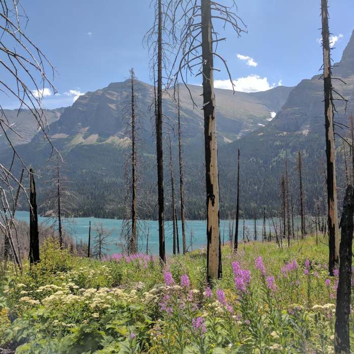 Near Saint Mary Falls