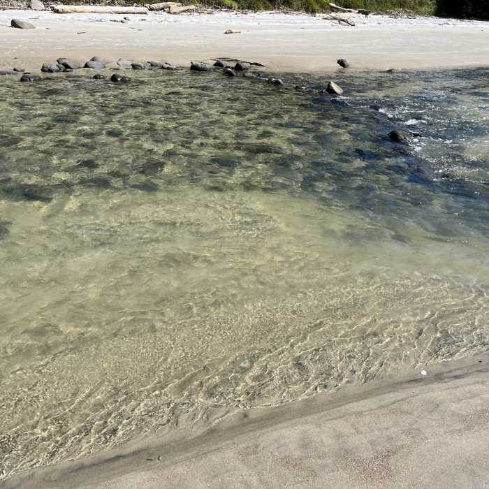 Near New Chums Beach Trail Near New Chums Beach Trail