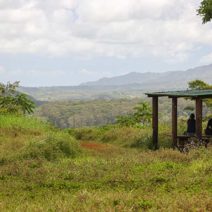 Near Kuilau Ridge Trail