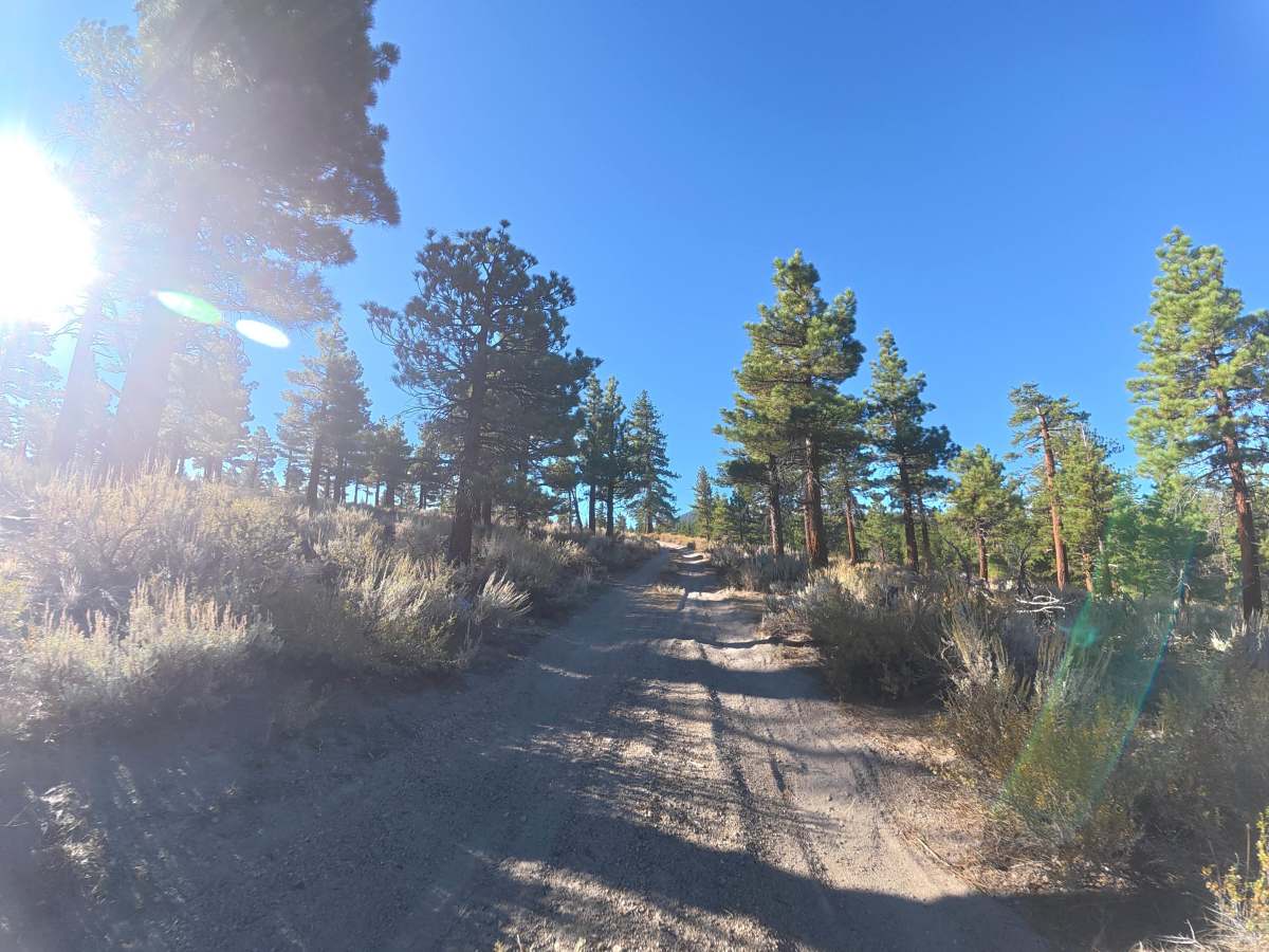 Antelope Loop - FS 3S39 photo 6