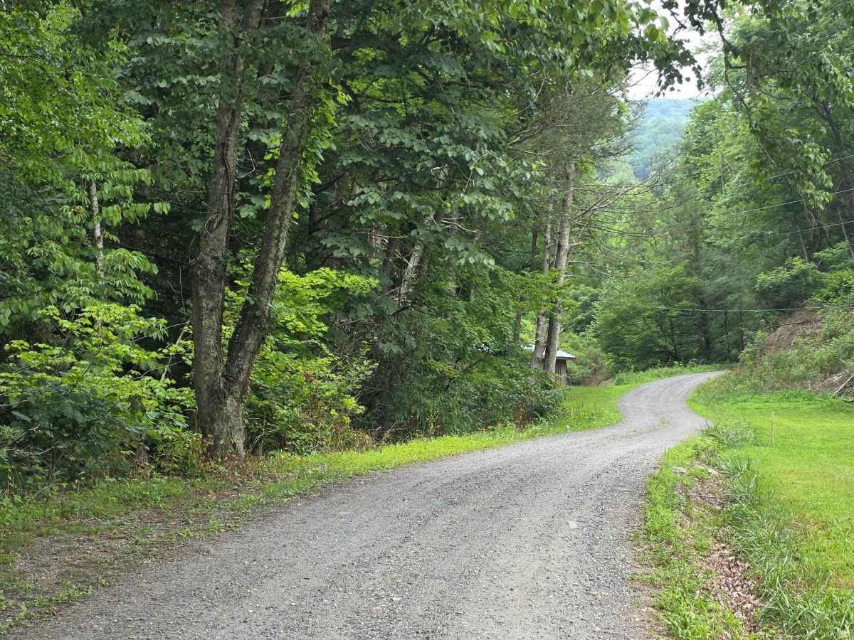Hopis Branch trail photo