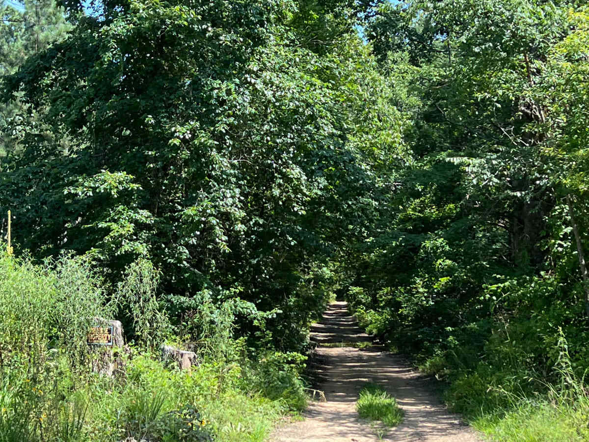 Briarbend Road  photo 2
