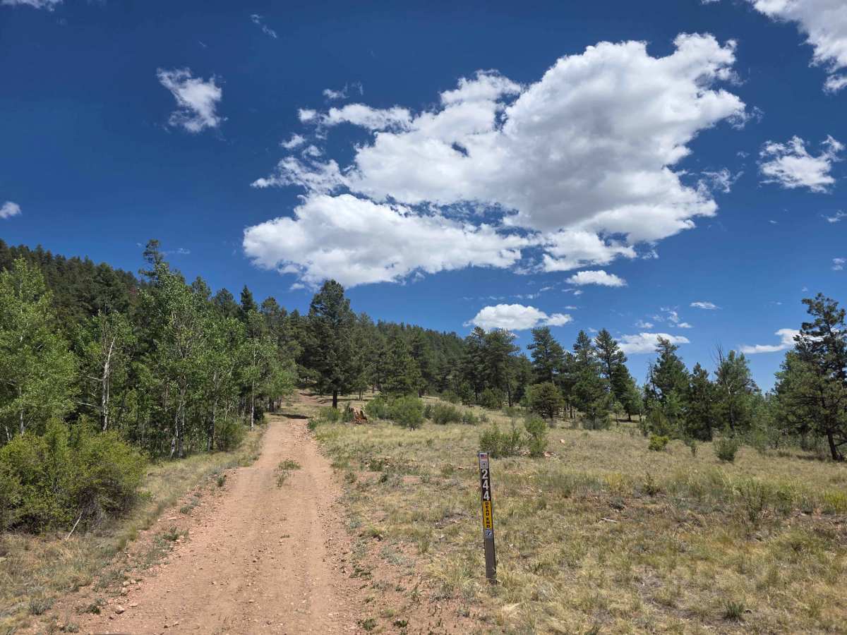 Mistletoe Road - FS 244 photo 4