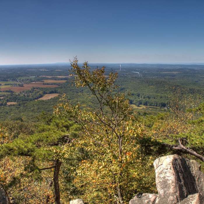 Near Sugarloaf Summit