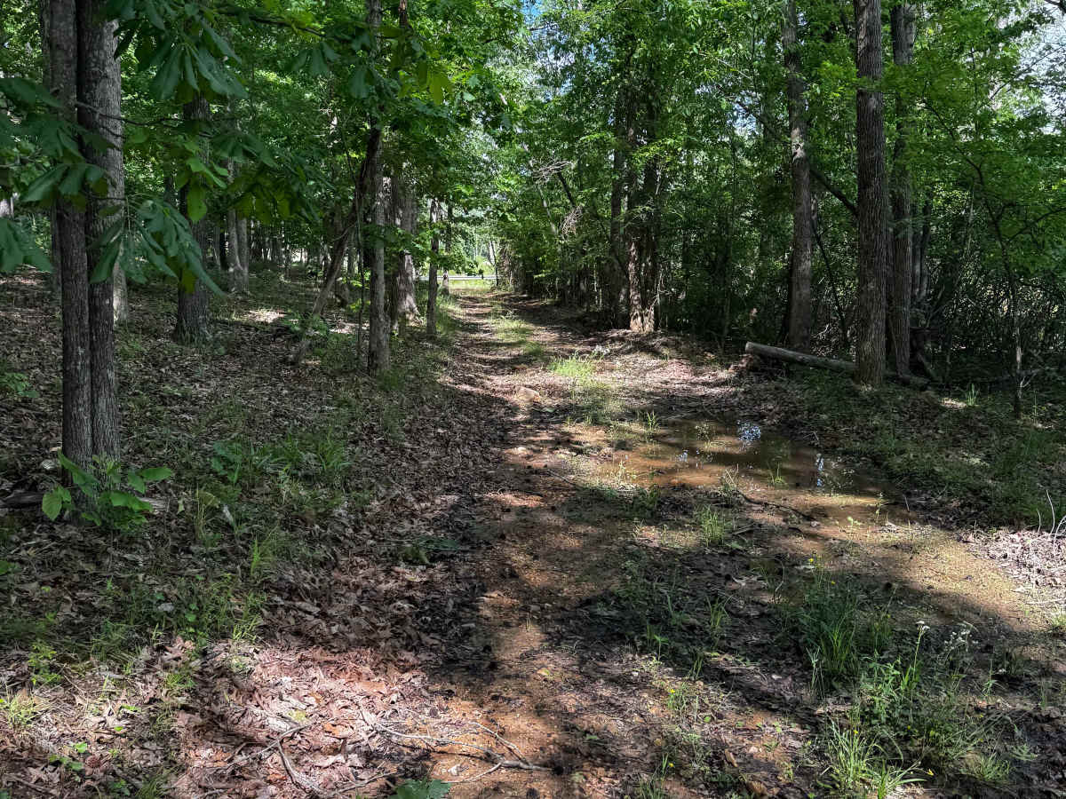 Red Clay Cut Thru photo 3