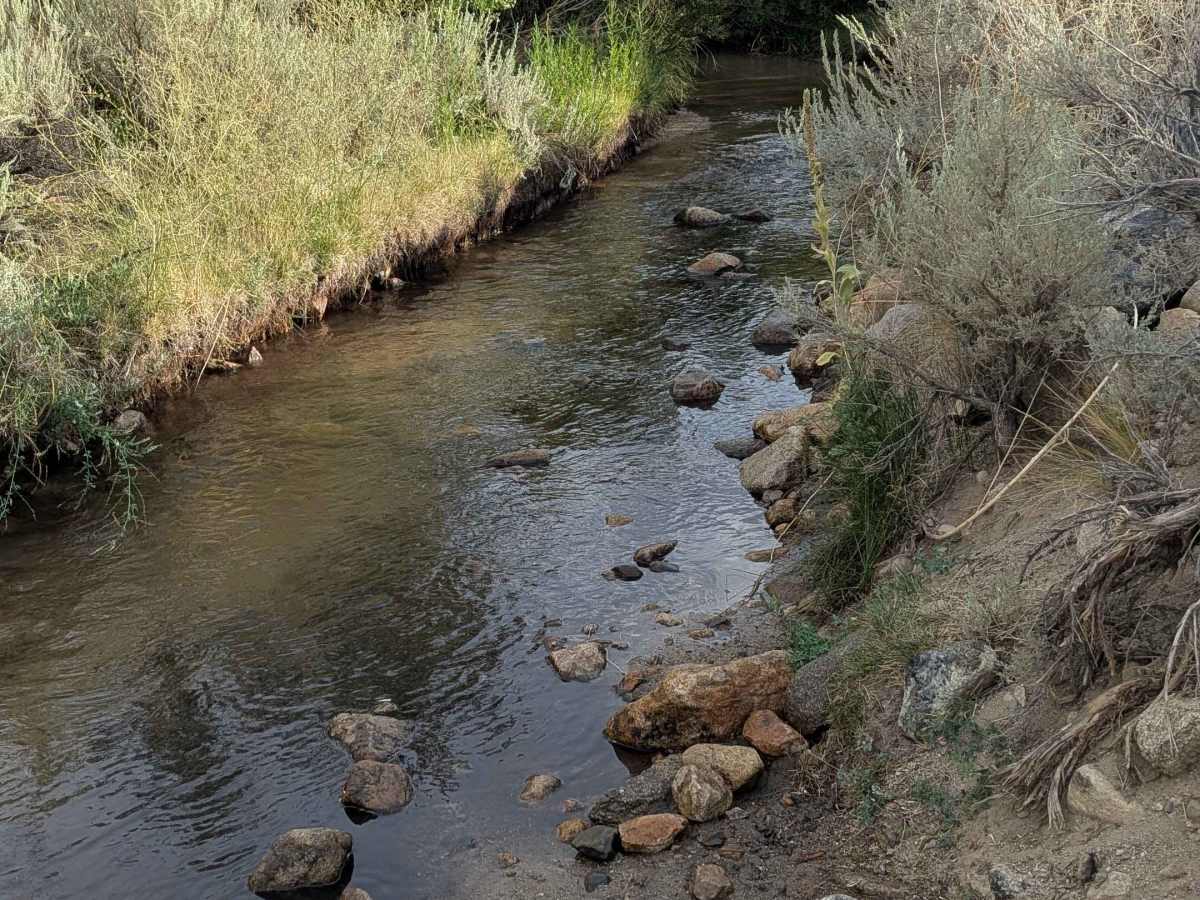 McGee Creek R2 photo 2