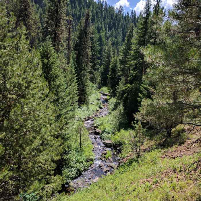 Near Ochoco Mountains Loop: Rock Creek to Black Canyon Wilderness