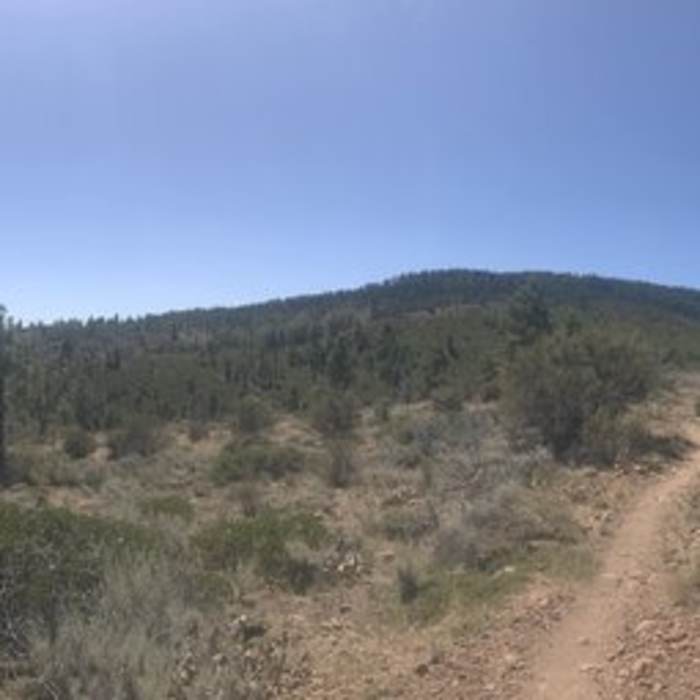 Near Browns Creek Trail