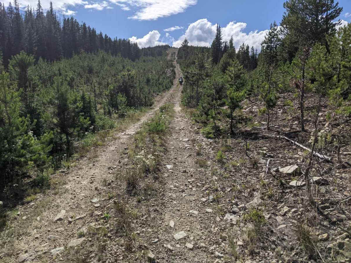 Ferrell East Access trail photo