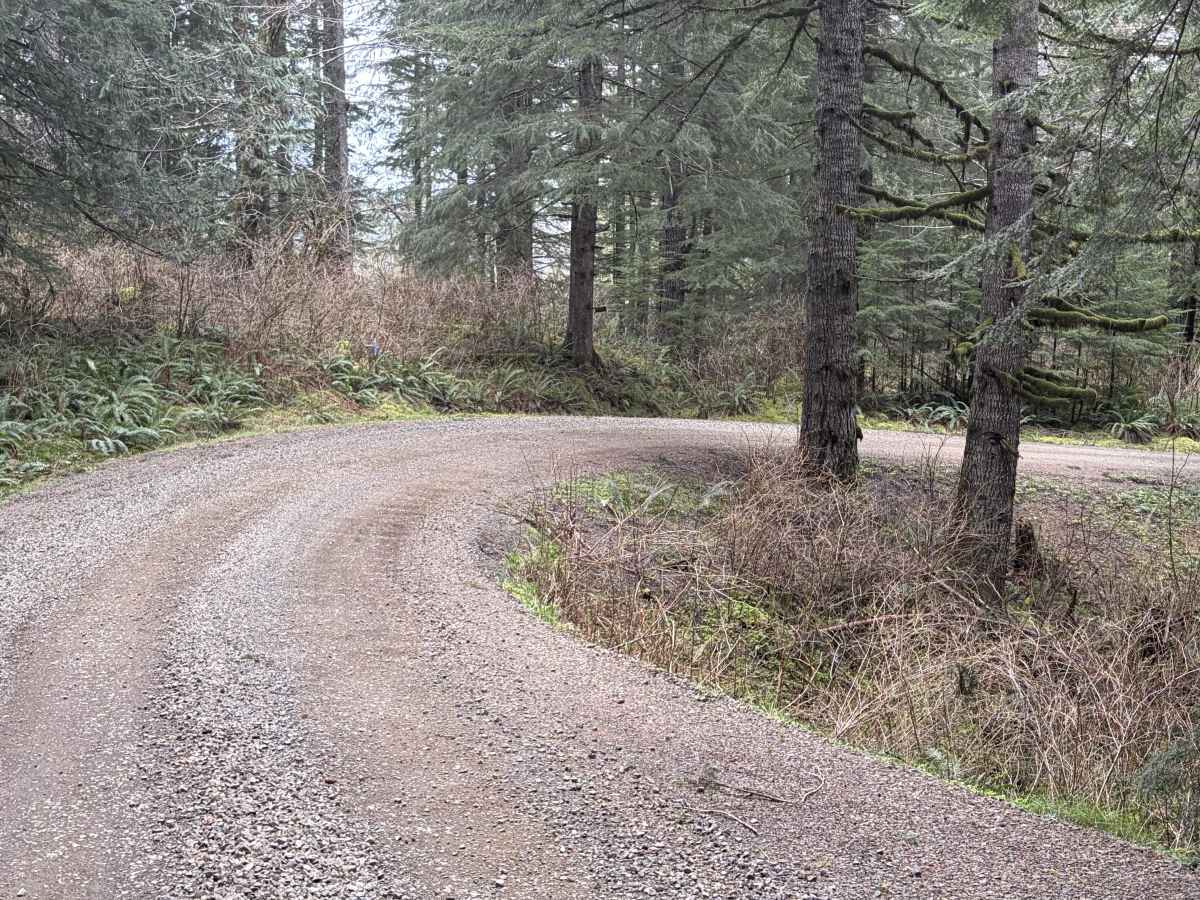 Bloom Lake photo 3