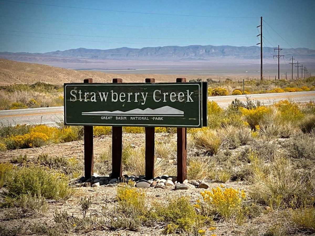Strawberry Creek Road photo 5