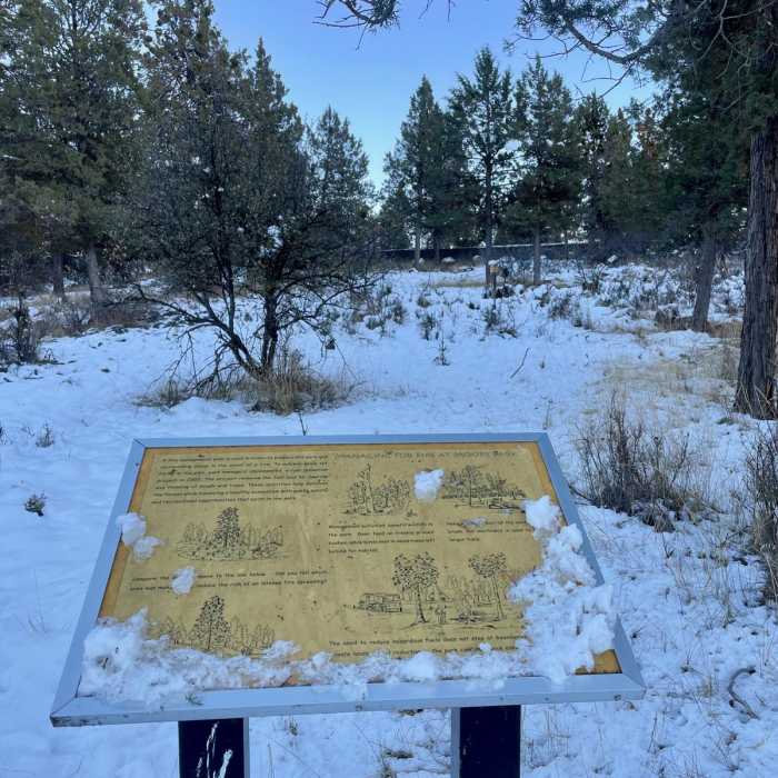 Near Nature Trail Loop