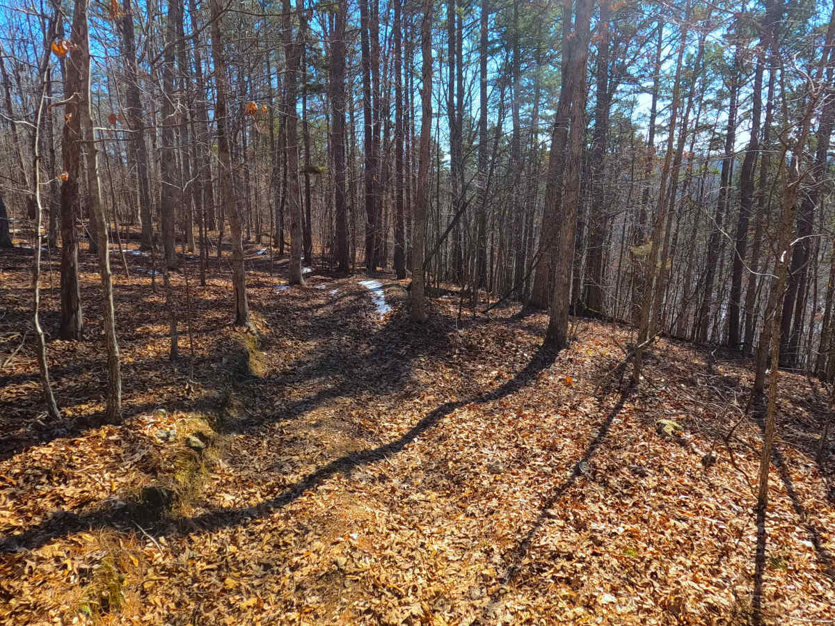 Sutton Bluff ATV 10 - SB 10 photo 6
