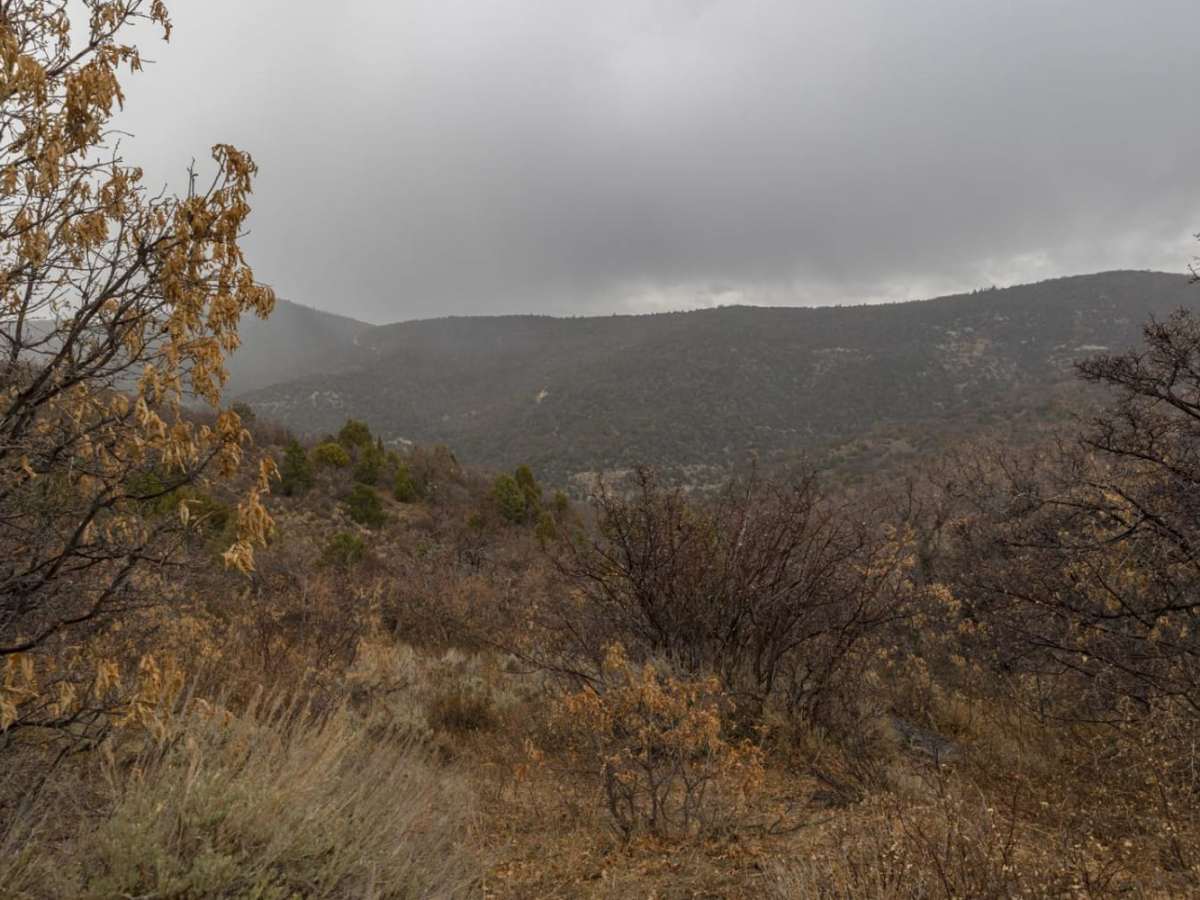 Catamount Trail photo 6