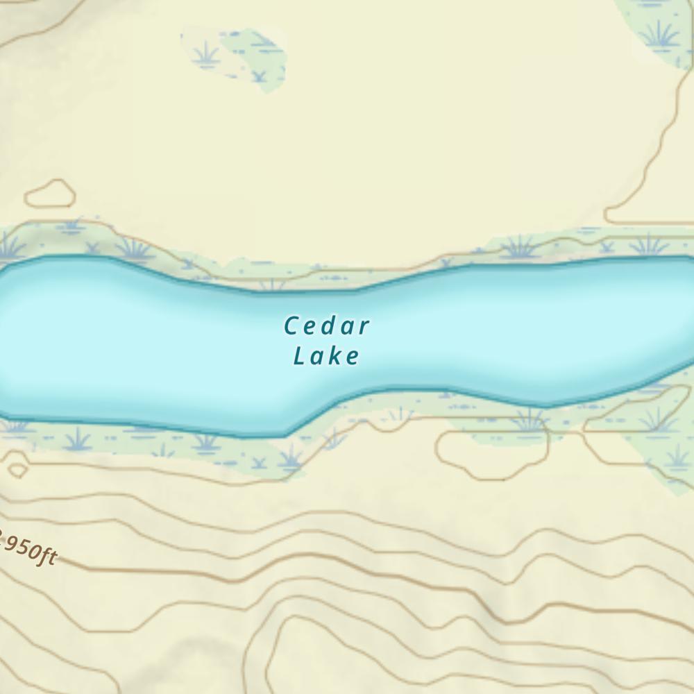 Cedar Lake photo