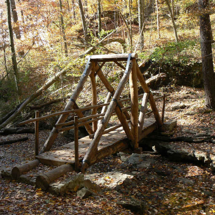 Near Trail 4