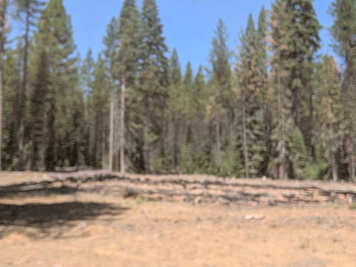 Porcupine Lake Spur C - FS 41N01C photo 2