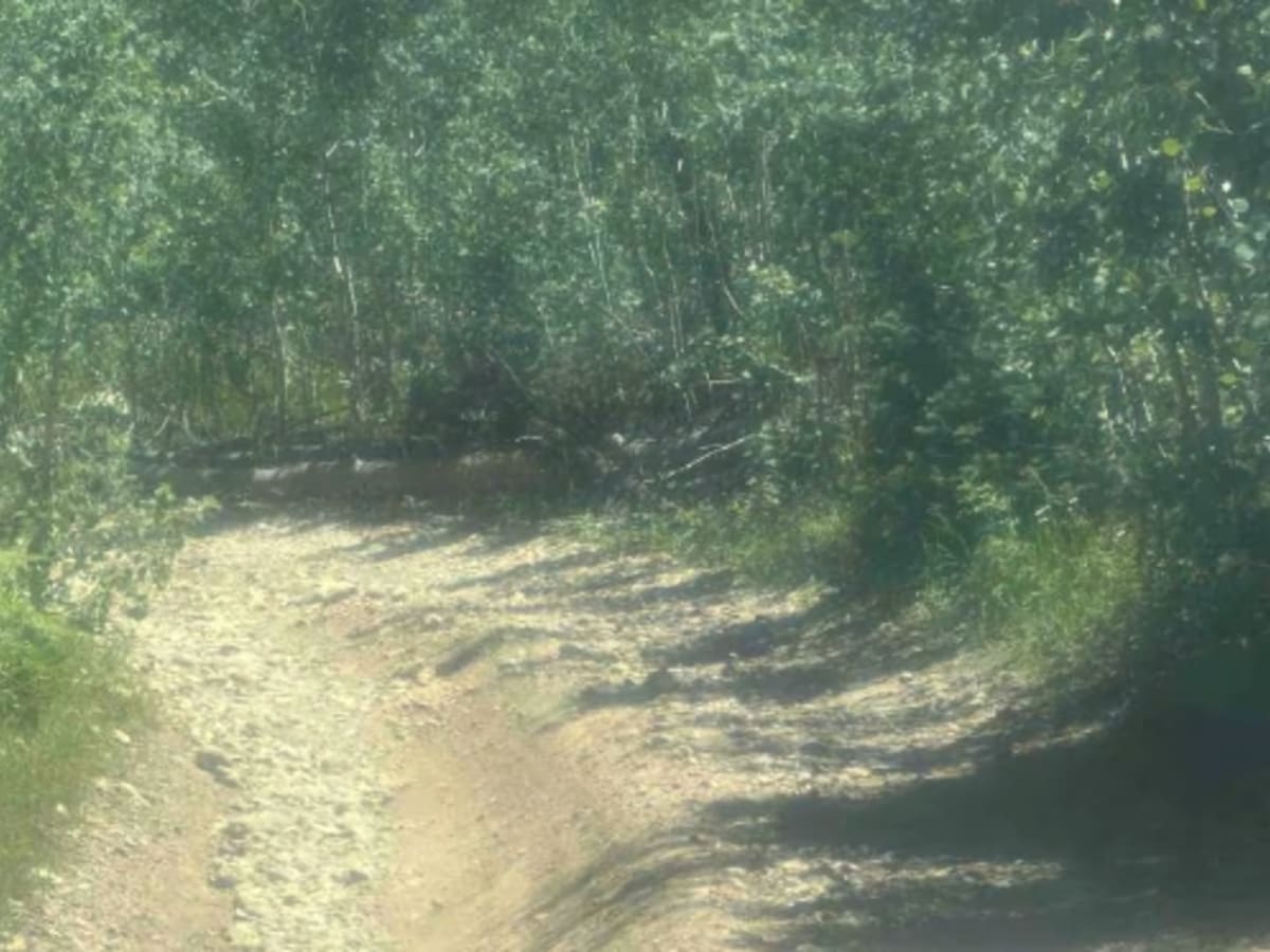 Point Sublime Trail - South Entrance photo 5