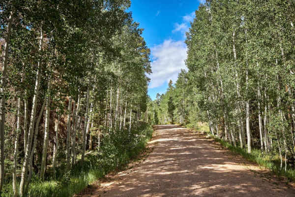 East Rim Ridge Trail