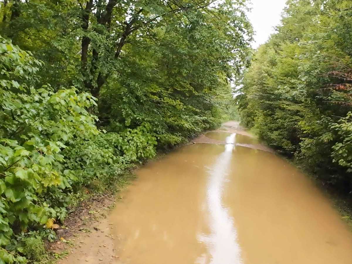 Bray Road trail photo