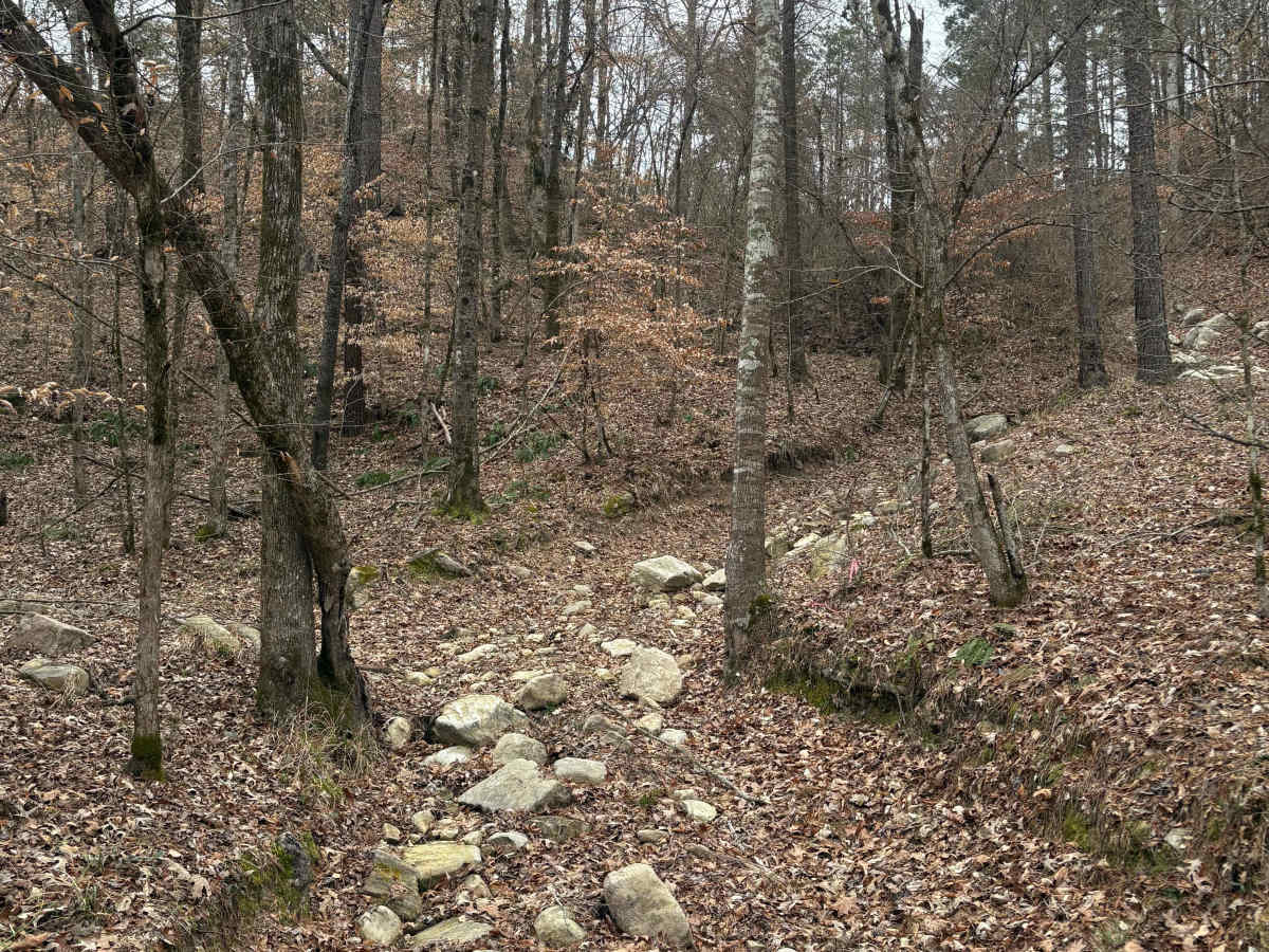 Mountain Road trail photo
