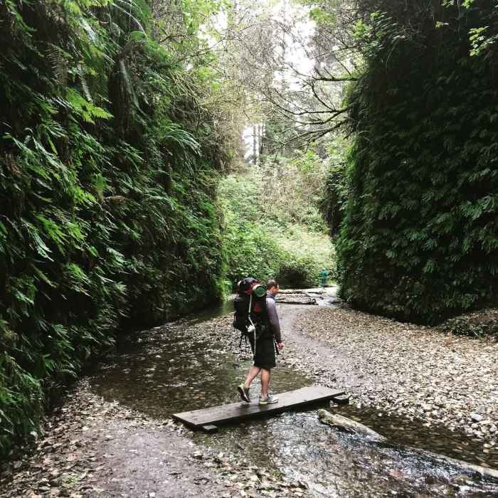 Seasonal bridge at Fern Canyon Loop Trail. Near Fern Canyon Loop Trail