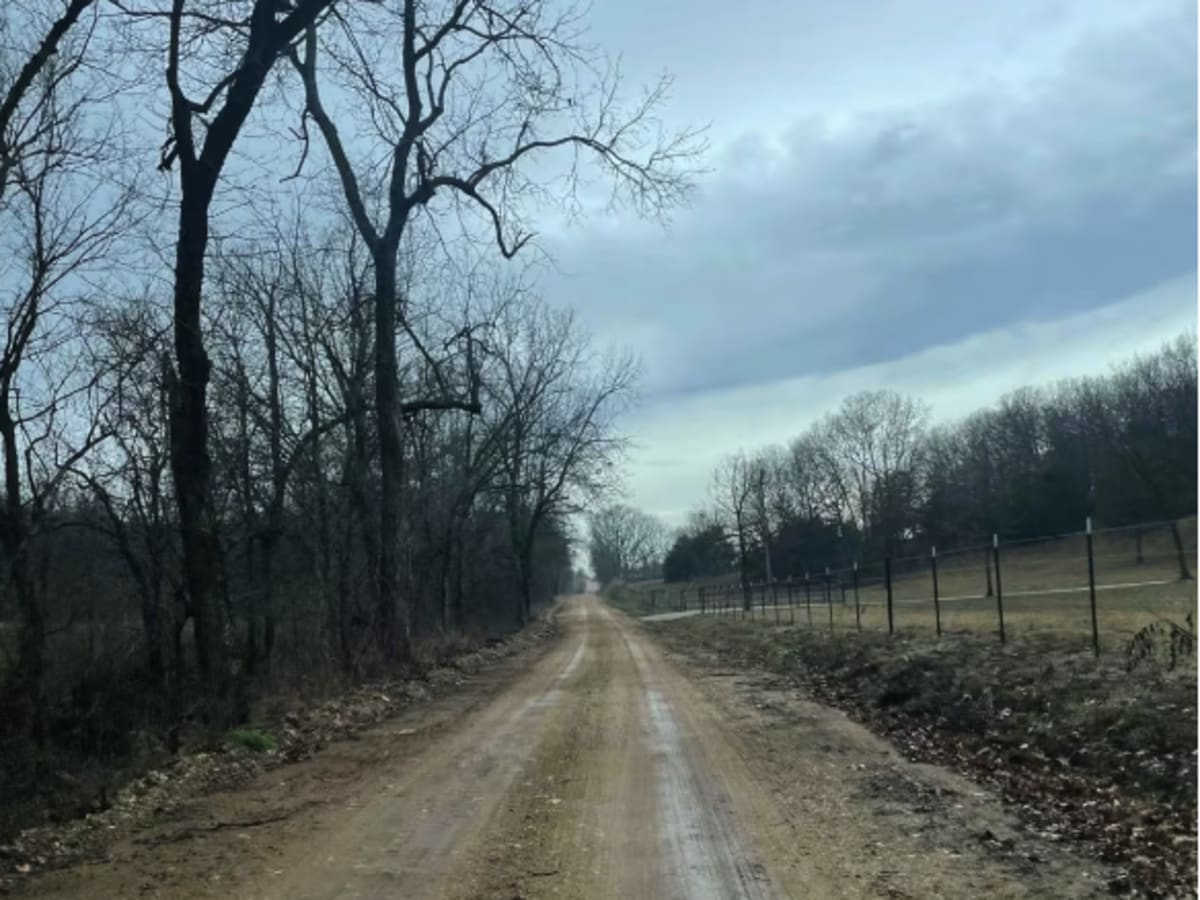 Palm Dirt Road photo 4