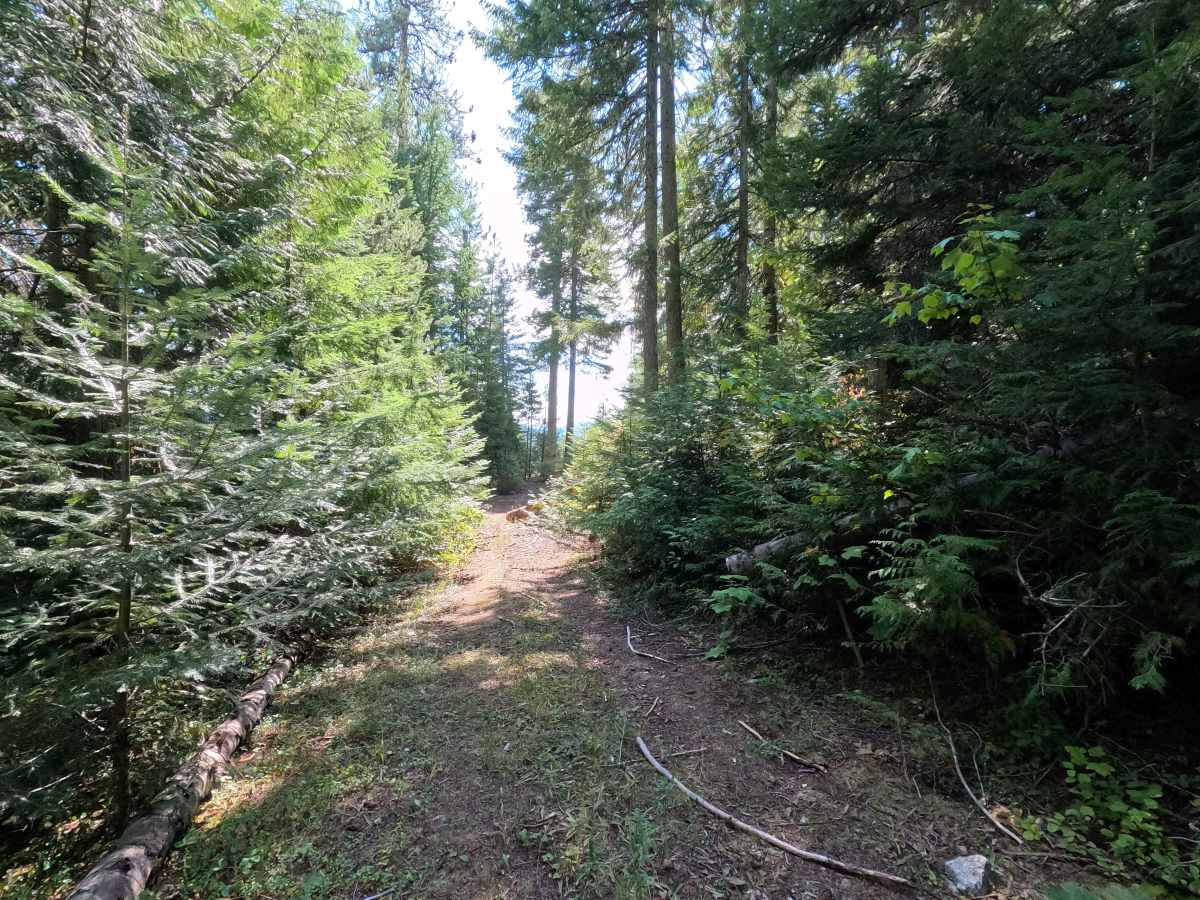 West Skip - FS 1342 photo 5