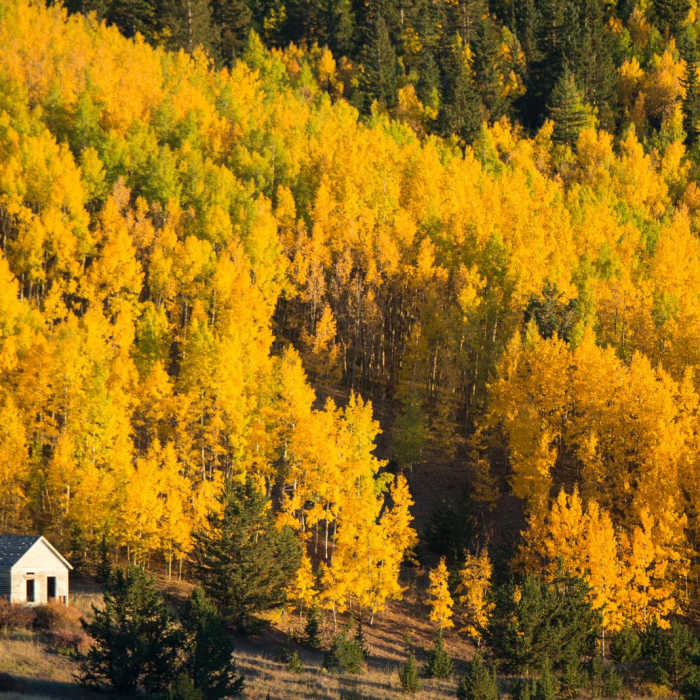 Near Vindicator Valley Trail