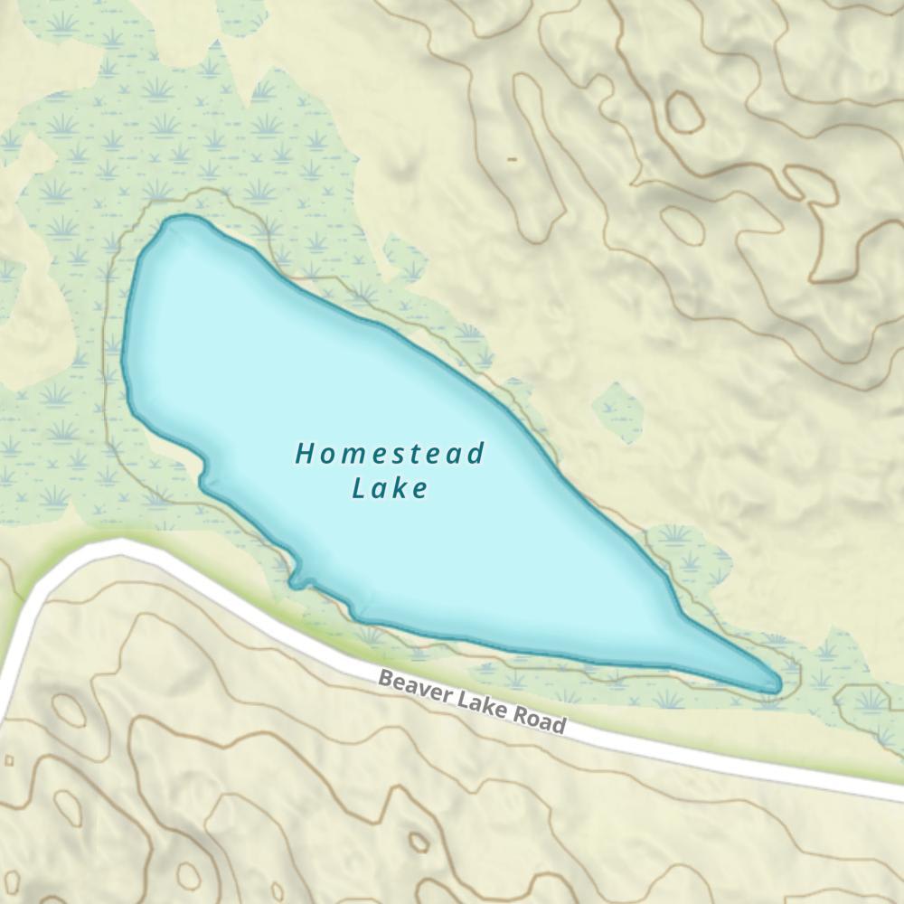 Homestead Lake photo
