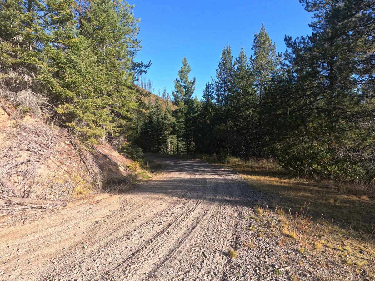 Klahowya Creek - FS 1075 photo 5