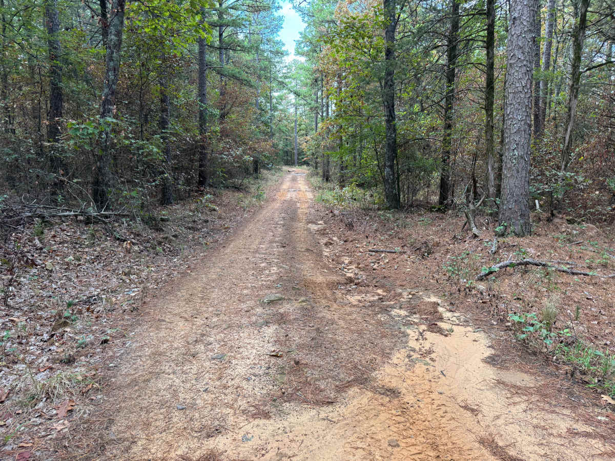 East Sing photo 5