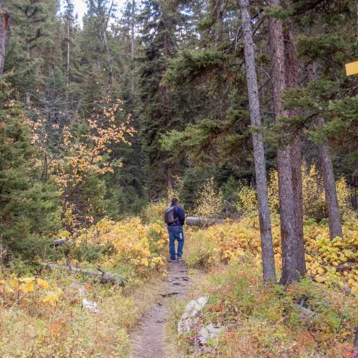 Near Lost Creek Falls