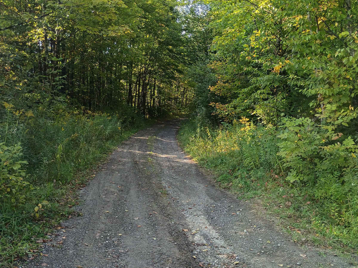 Johnson Mine Road trail photo