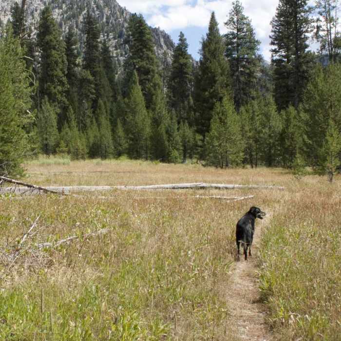 Near China Basin to Joe Daley Creek