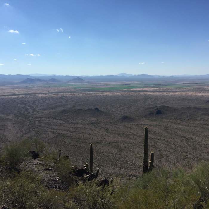 Near Picacho Peak via Hunter Trail