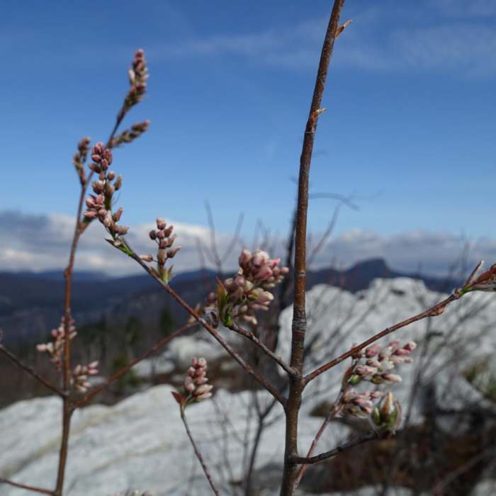 Near East Rim Trail Near East Rim Trail