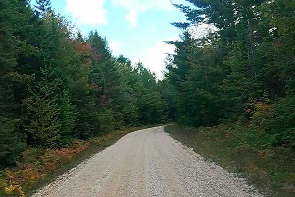 West Wilwin Road/ West Camp 2 Truck Trail - FS 3145