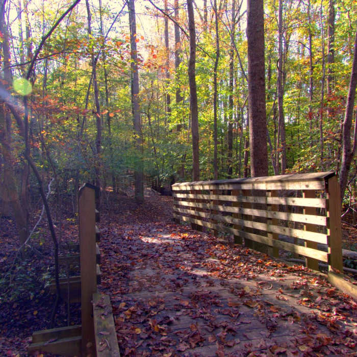 Near Old Atlanta Park Nature Trail