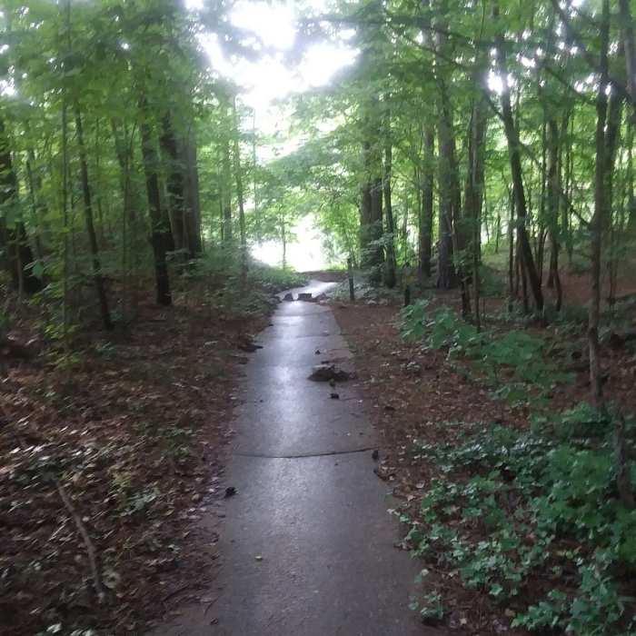 Near Falls Lake Trail Section 3