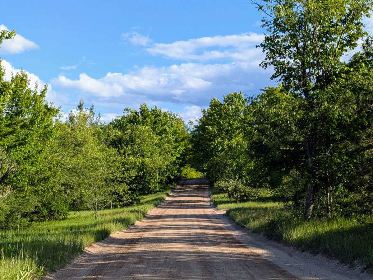 Howe Lake Road photo 3