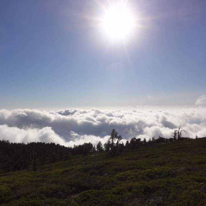 View from San Bernadino Trail Near San Bernardino Peak Trail #1W07